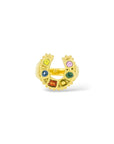 Horseshoe Ring - multi stone