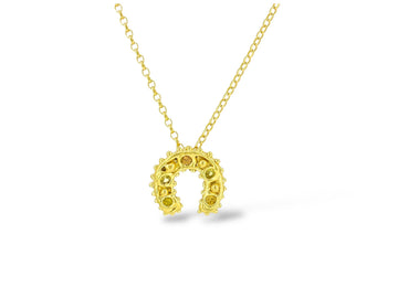 Horseshoe Necklace - sapphires