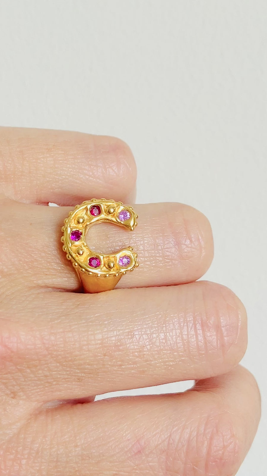 Horseshoe Ring - Pink and Ruby